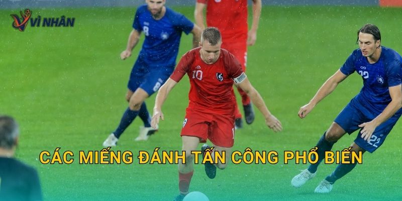 Các miếng đánh tấn công phổ biến