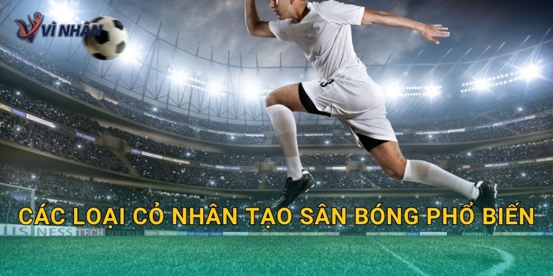 Các loại cỏ nhân tạo sân bóng phổ biến và cách chọn đúng nhu cầu