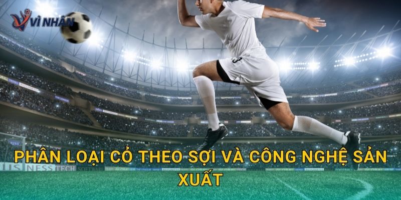 Phân loại cỏ theo sợi và công nghệ sản xuất