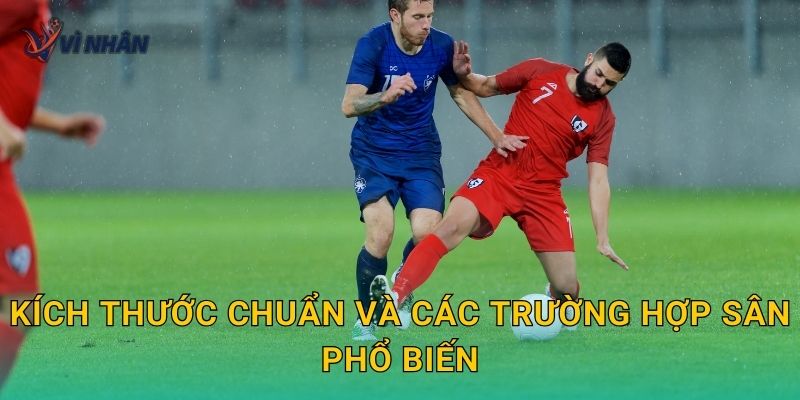 Kích thước chuẩn và các trường hợp sân phổ biến