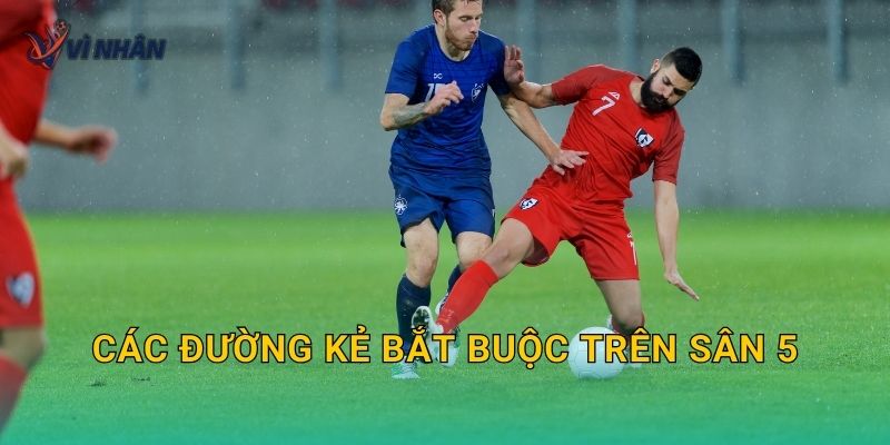 Các đường kẻ bắt buộc trên sân 5