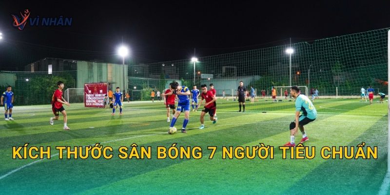 Kích thước sân bóng 7 người tiêu chuẩn và cách bố trí vạch kẻ hợp chuẩn
