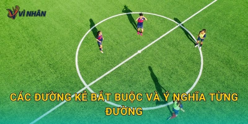 Các đường kẻ bắt buộc và ý nghĩa từng đường