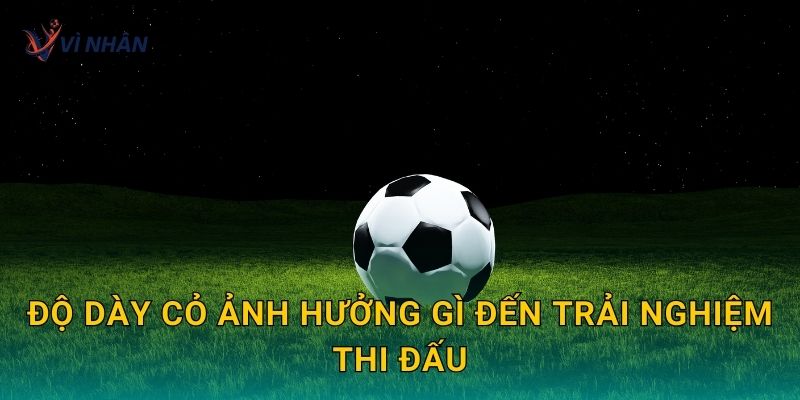 Độ dày cỏ nhân tạo ảnh hưởng gì đến trải nghiệm thi đấu