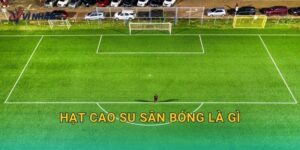 Hạt cao su sân bóng là gì và vì sao sân cỏ nhân tạo cần infill