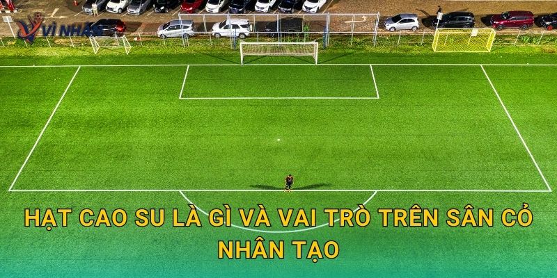 Hạt cao su là gì và vai trò trên sân cỏ nhân tạo