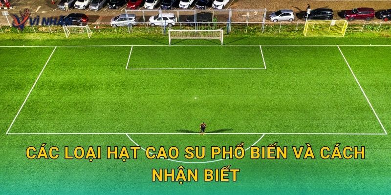 Các loại hạt cao su phổ biến và cách nhận biết