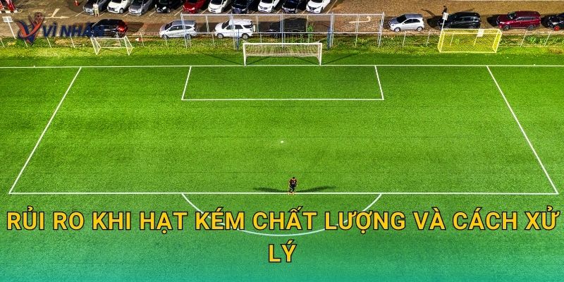 Rủi ro khi hạt kém chất lượng và cách xử lý