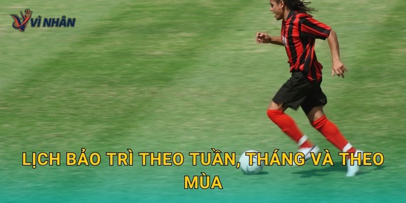 Lịch bảo trì theo tuần, tháng và theo mùa