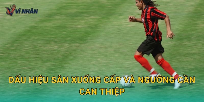 Dấu hiệu sân xuống cấp và ngưỡng cần can thiệp