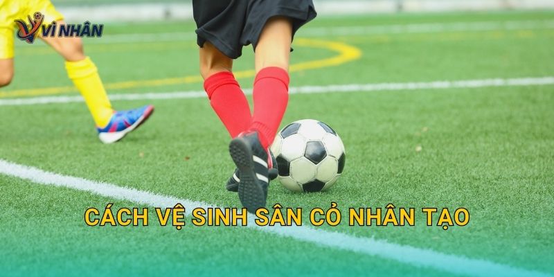 Cách vệ sinh sân cỏ nhân tạo đúng chuẩn để sạch, ít mùi và không hỏng cỏ