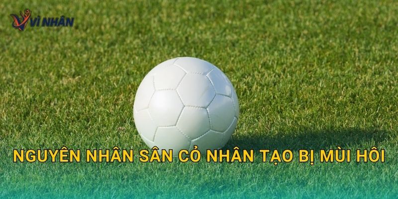 Nguyên nhân sân cỏ nhân tạo bị mùi hôi