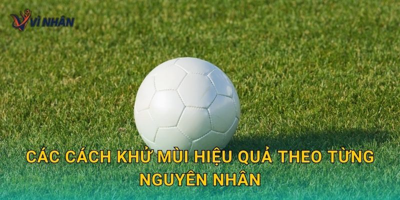 Các cách khử mùi hiệu quả theo từng nguyên nhân