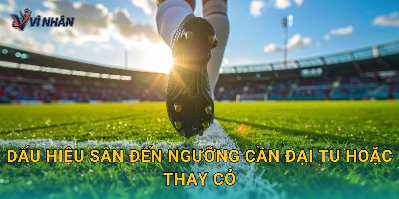 Dấu hiệu sân đến ngưỡng cần đại tu hoặc thay cỏ