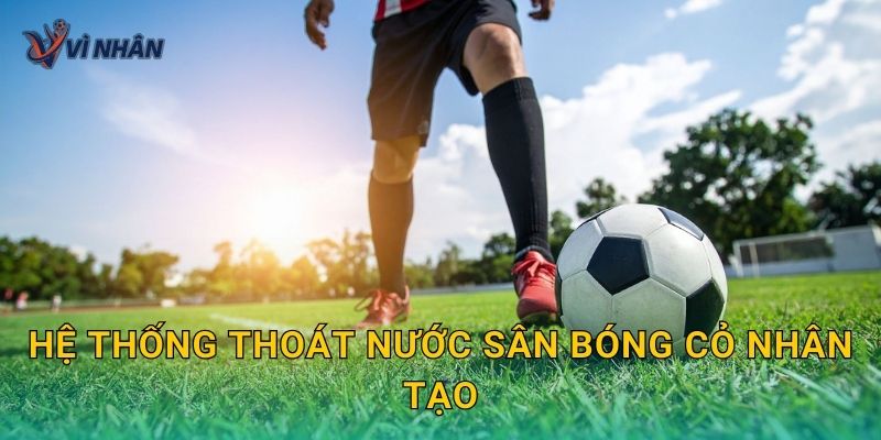 Hệ thống thoát nước sân bóng cỏ nhân tạo: Thiết kế đúng để không đọng nước