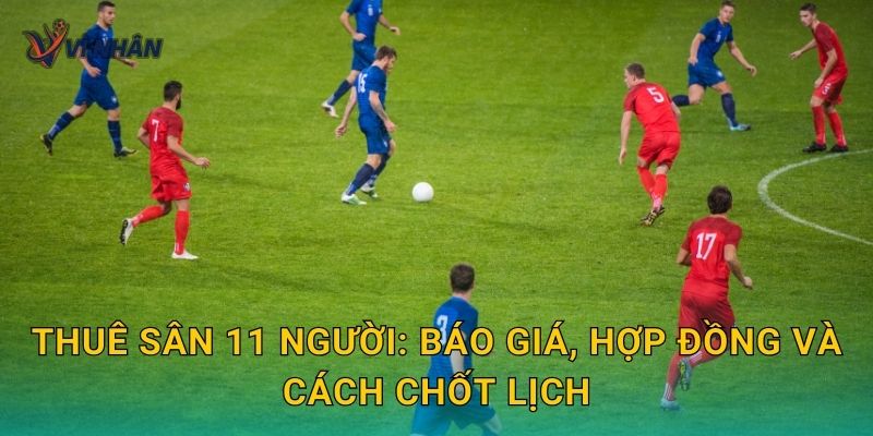 Thuê sân 11 người: báo giá, hợp đồng và cách chốt lịch