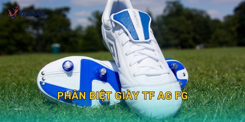 Phân biệt giày TF AG FG và cách chọn đúng loại sân