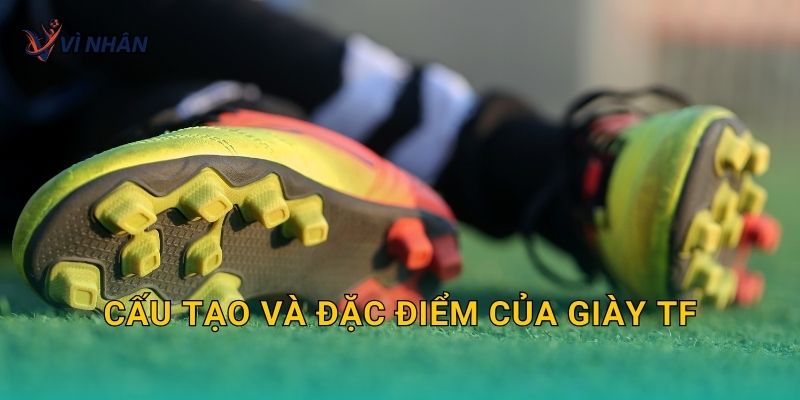 Cấu tạo và đặc điểm của giày TF